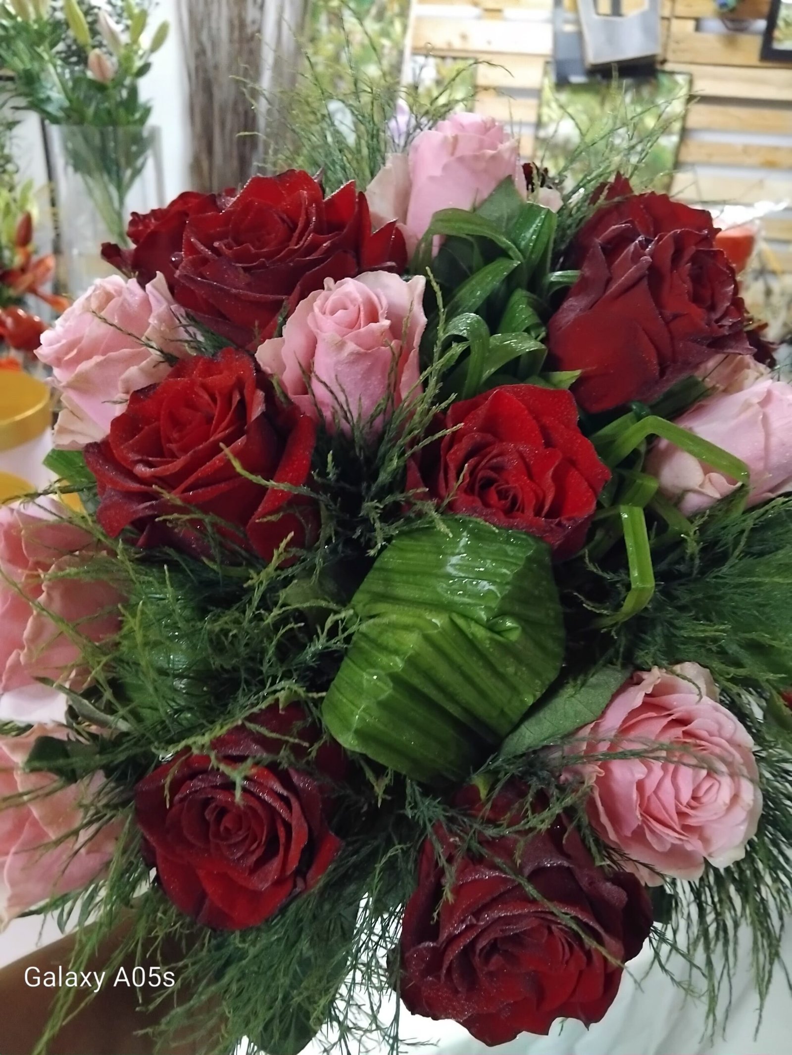 IMG_20250206_164559 (2)